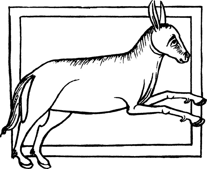 Иллюстрация к книге — Средневековый бестиарий. Что думали наши предки об окружающем их мире [i_044.jpg]