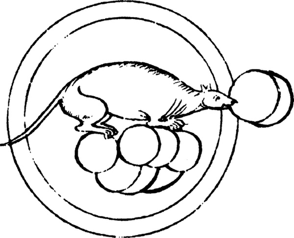 Иллюстрация к книге — Средневековый бестиарий. Что думали наши предки об окружающем их мире [i_047.jpg]