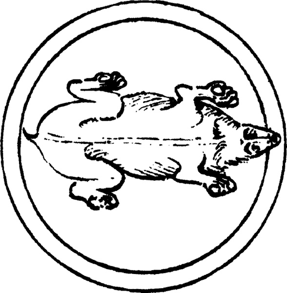 Иллюстрация к книге — Средневековый бестиарий. Что думали наши предки об окружающем их мире [i_050.jpg]