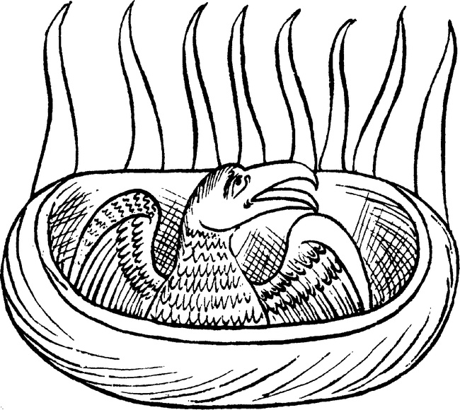 Иллюстрация к книге — Средневековый бестиарий. Что думали наши предки об окружающем их мире [i_063.jpg]