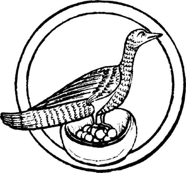 Иллюстрация к книге — Средневековый бестиарий. Что думали наши предки об окружающем их мире [i_074.jpg]