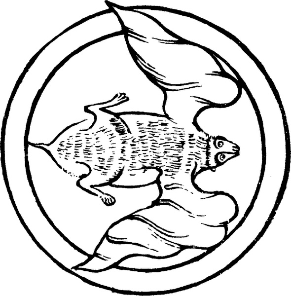 Иллюстрация к книге — Средневековый бестиарий. Что думали наши предки об окружающем их мире [i_075.jpg]