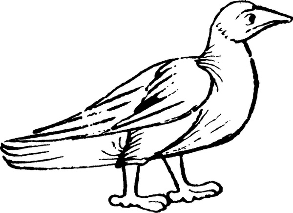 Иллюстрация к книге — Средневековый бестиарий. Что думали наши предки об окружающем их мире [i_076.jpg]