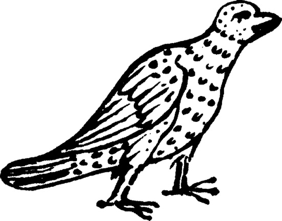 Иллюстрация к книге — Средневековый бестиарий. Что думали наши предки об окружающем их мире [i_078.jpg]