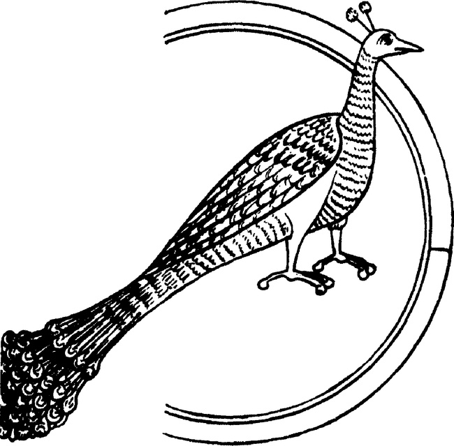 Иллюстрация к книге — Средневековый бестиарий. Что думали наши предки об окружающем их мире [i_082.jpg]