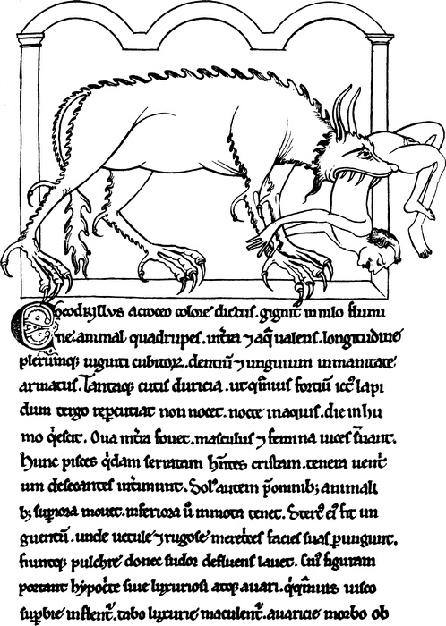 Иллюстрация к книге — Средневековый бестиарий. Что думали наши предки об окружающем их мире [i_108.jpg]