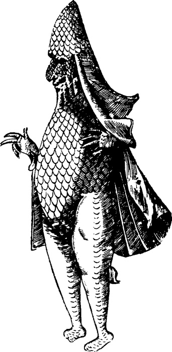 Иллюстрация к книге — Средневековый бестиарий. Что думали наши предки об окружающем их мире [i_116.jpg]