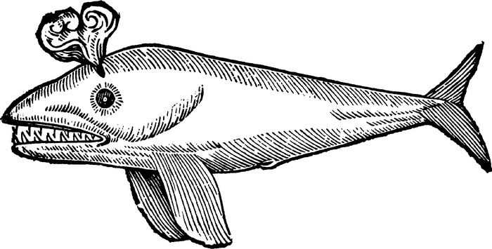 Иллюстрация к книге — Средневековый бестиарий. Что думали наши предки об окружающем их мире [i_131.jpg]