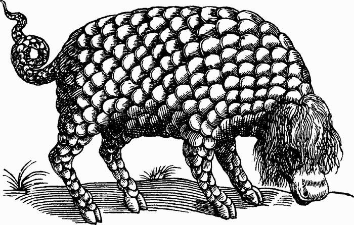 Иллюстрация к книге — Средневековый бестиарий. Что думали наши предки об окружающем их мире [i_134.jpg]