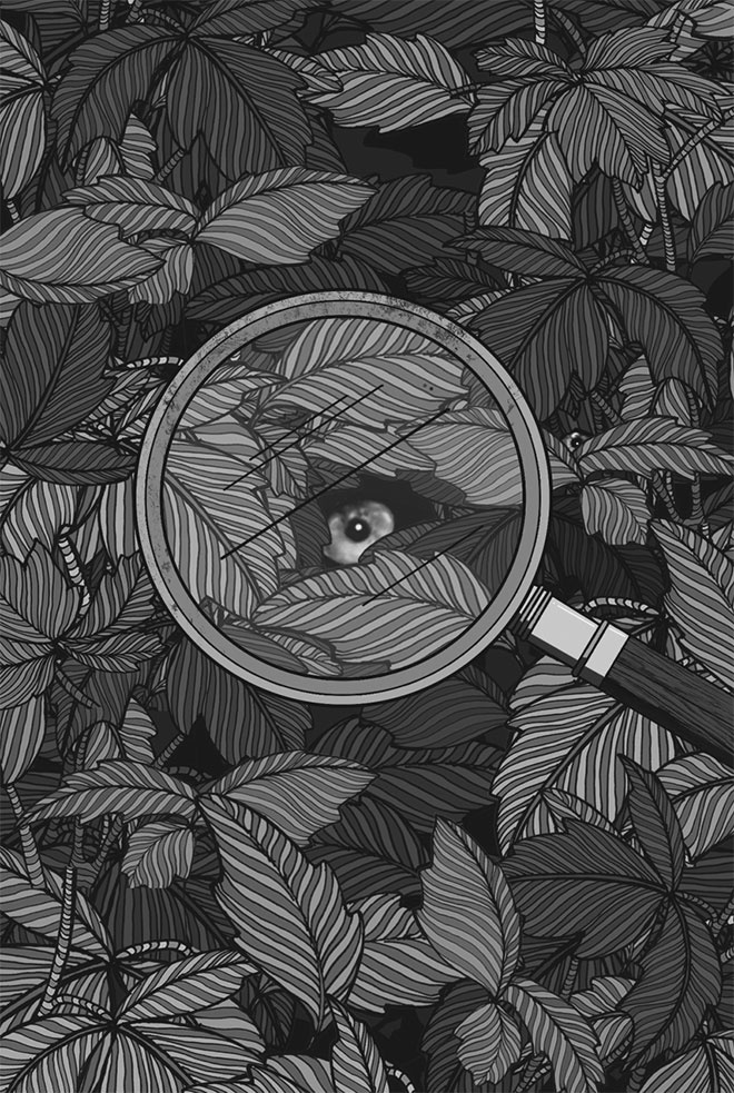 Иллюстрация к книге — Философия хорошей жизни. 52 нетривиальных идеи о счастье и успехе [i_081.jpg]