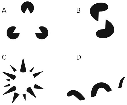 Иллюстрация к книге — Психология города. Как быть счастливым в мегаполисе [i_011.jpg]