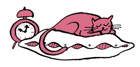 Иллюстрация к книге — Обои-убийцы, ядовитая вода и стул-обольститель. Как выжить в собственной квартире [i_013.jpg]