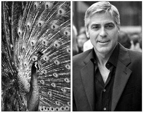 Иллюстрация к книге — Homo Deus. Краткая история будущего [i_014.jpg]