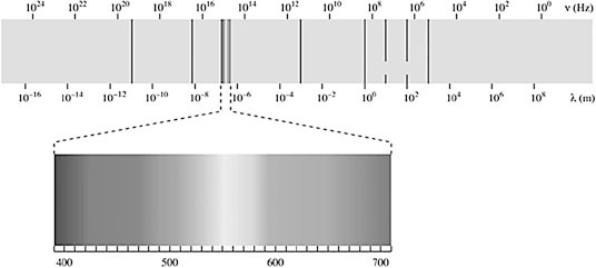 Иллюстрация к книге — Homo Deus. Краткая история будущего [i_047.jpg]