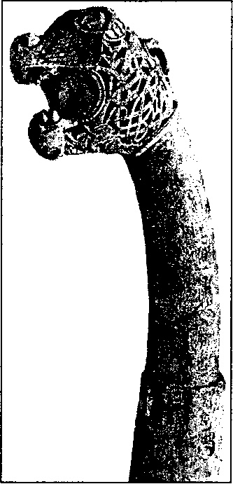 Иллюстрация к книге — Викинги. Между Скандинавией и Русью [doc2fb_image_0300000a.jpg]