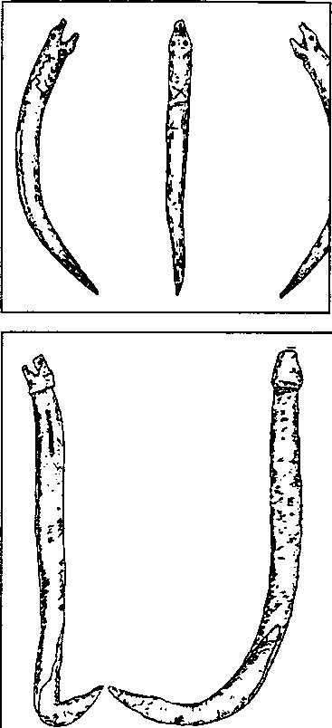 Иллюстрация к книге — Викинги. Между Скандинавией и Русью [doc2fb_image_0300000b.jpg]