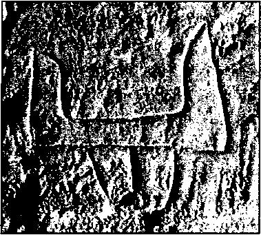 Иллюстрация к книге — Викинги. Между Скандинавией и Русью [doc2fb_image_0300000c.jpg]