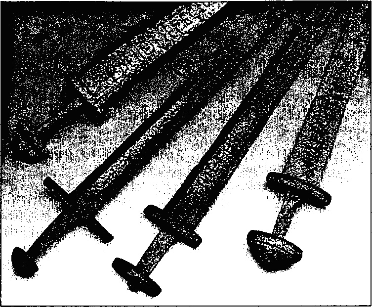 Иллюстрация к книге — Викинги. Между Скандинавией и Русью [doc2fb_image_03000012.jpg]