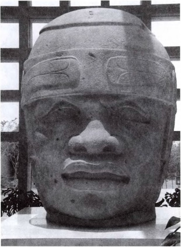 Иллюстрация к книге — Цивилизации [i_006.jpg]