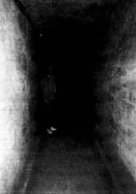 Иллюстрация к книге — Братство "Колокола". Секретное оружие СС [i_019.jpg]