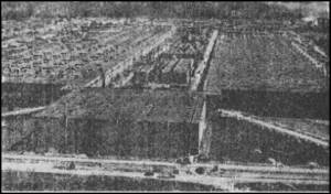 Иллюстрация к книге — Черное солнце Третьего рейха. Битва за "оружие возмездия" [i_006.jpg]