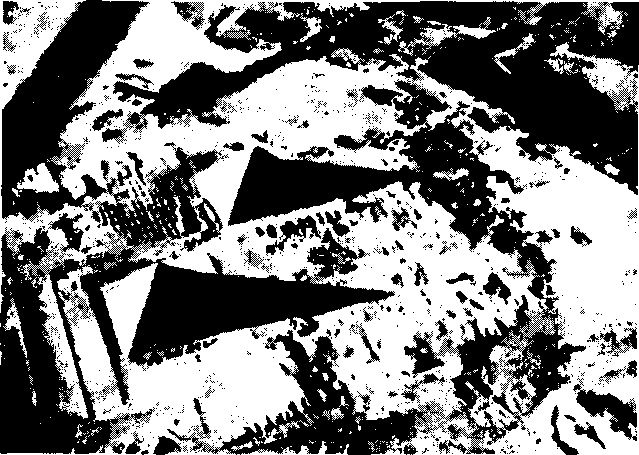 Иллюстрация к книге — Боевая машина Гизы [i_003.jpg]