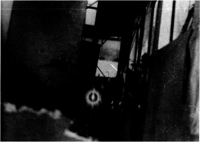 Иллюстрация к книге — "Илья Муромец". Гордость русской авиации [i_065.jpg]