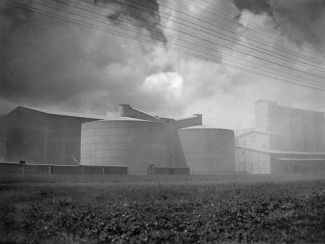 Иллюстрация к книге — Пинхас Рутенберг. От террориста к сионисту. Том II: В Палестине (1919–1942) [i_013.jpg]