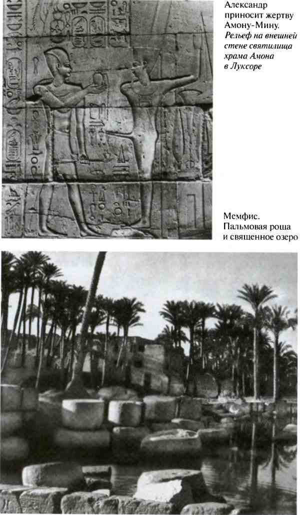 Иллюстрация к книге — Повседневная жизнь армии Александра Македонского [i_026.jpg]