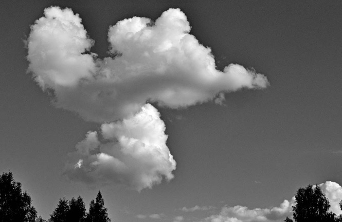 Иллюстрация к книге — Голубиная книга анархиста [i_005.jpg]