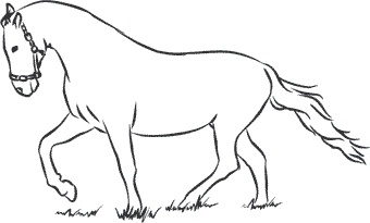 Иллюстрация к книге — 1111 удивительных фактов, которых вы не знали [i_002.jpg]