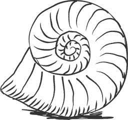 Иллюстрация к книге — 1111 удивительных фактов, которых вы не знали [i_009.jpg]