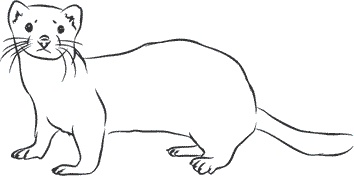 Иллюстрация к книге — 1111 удивительных фактов, которых вы не знали [i_011.jpg]