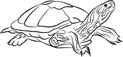 Иллюстрация к книге — 1111 удивительных фактов, которых вы не знали [i_016.jpg]