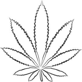 Иллюстрация к книге — 1111 удивительных фактов, которых вы не знали [i_020.jpg]