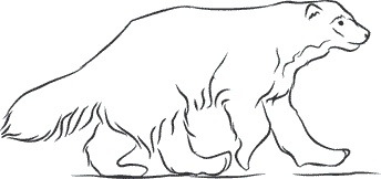 Иллюстрация к книге — 1111 удивительных фактов, которых вы не знали [i_023.jpg]