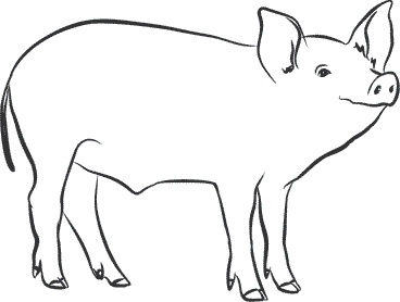 Иллюстрация к книге — 1111 удивительных фактов, которых вы не знали [i_031.jpg]