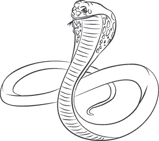 Иллюстрация к книге — 1111 удивительных фактов, которых вы не знали [i_032.jpg]