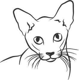 Иллюстрация к книге — 1111 удивительных фактов, которых вы не знали [i_034.jpg]