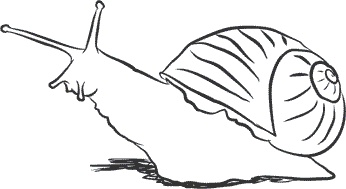 Иллюстрация к книге — 1111 удивительных фактов, которых вы не знали [i_037.jpg]