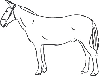 Иллюстрация к книге — 1111 удивительных фактов, которых вы не знали [i_039.jpg]