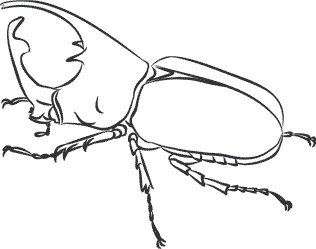 Иллюстрация к книге — 1111 удивительных фактов, которых вы не знали [i_065.jpg]