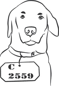 Иллюстрация к книге — 1111 удивительных фактов, которых вы не знали [i_068.jpg]