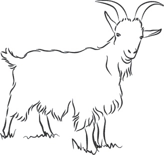 Иллюстрация к книге — 1111 удивительных фактов, которых вы не знали [i_081.jpg]