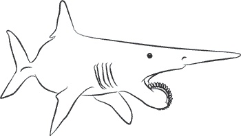 Иллюстрация к книге — 1111 удивительных фактов, которых вы не знали [i_087.jpg]