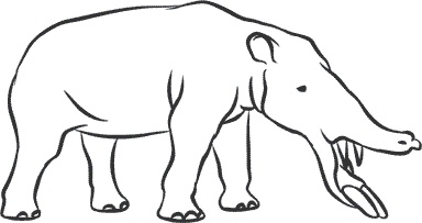 Иллюстрация к книге — 1111 удивительных фактов, которых вы не знали [i_097.jpg]