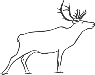 Иллюстрация к книге — 1111 удивительных фактов, которых вы не знали [i_102.jpg]