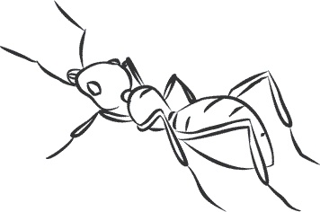 Иллюстрация к книге — 1111 удивительных фактов, которых вы не знали [i_103.jpg]