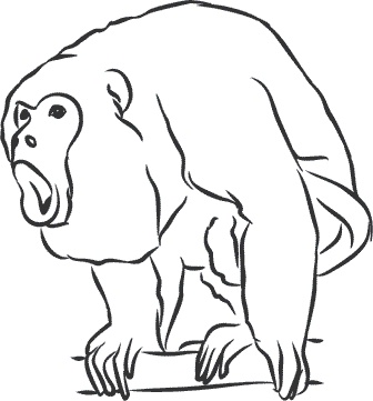 Иллюстрация к книге — 1111 удивительных фактов, которых вы не знали [i_117.jpg]