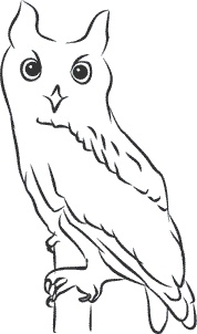 Иллюстрация к книге — 1111 удивительных фактов, которых вы не знали [i_131.jpg]